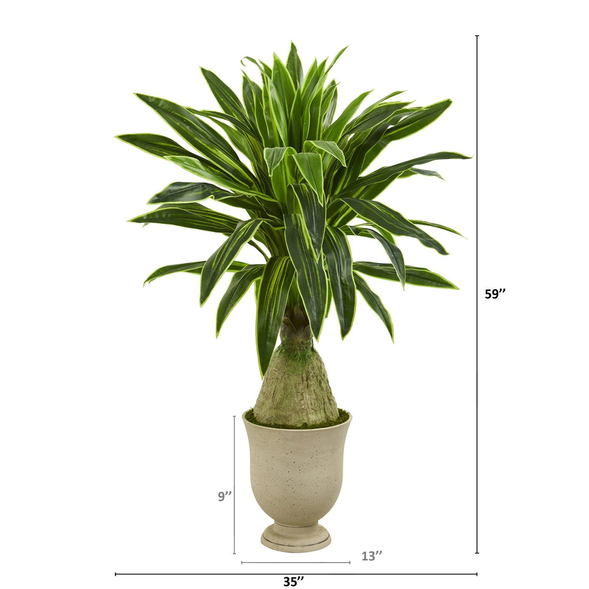 59” Dracaena Artificial Plant in Decorative Urn