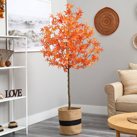 a tree in a pot in a room