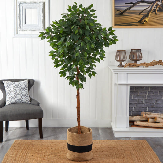 a tree in a pot in front of a fireplace