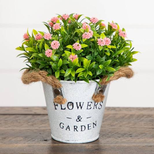 6" Artificial Mixed Button Pom Plant in Rustic Flowers & Garden Planter -Set of 3