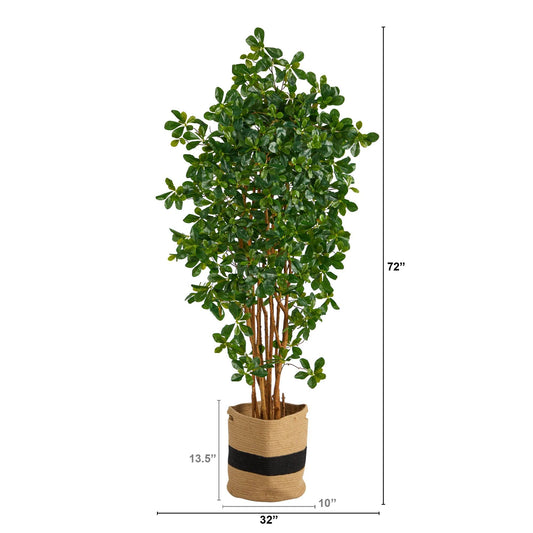 6’ Black Olive Artificial Tree in Handmade Natural Cotton Planter