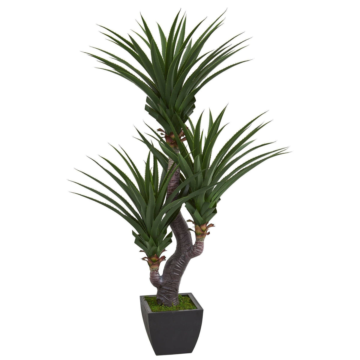 6’ Dracaena Artificial Plant with Black Planter