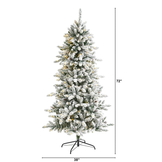 a tall christmas tree with lights