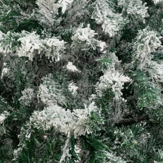 a close up of a tree