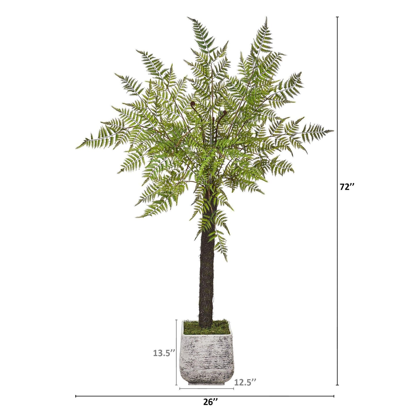 6’ Forest Fern Artificial Tree in White Planter