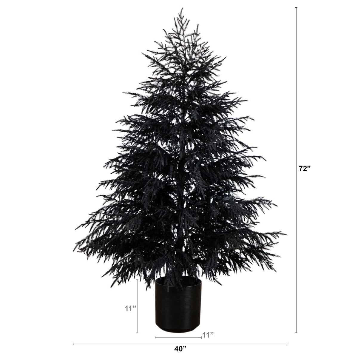 a tall tree with a height of inches