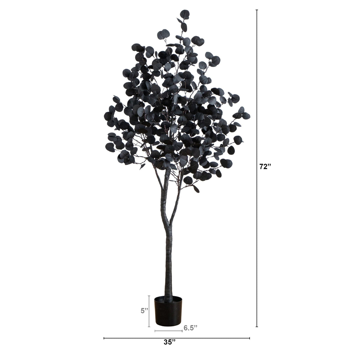 a tall tree with a height of 2. 5 inches