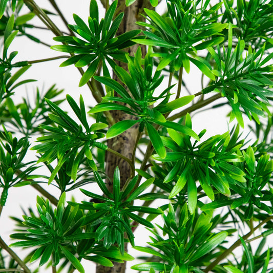 6' UV Artificial Podocarpus Artificial Tree (Indoor/Outdoor)
