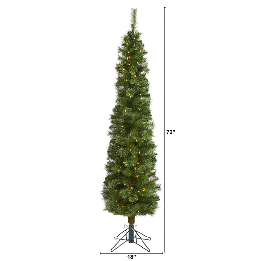 a tall christmas tree with lights