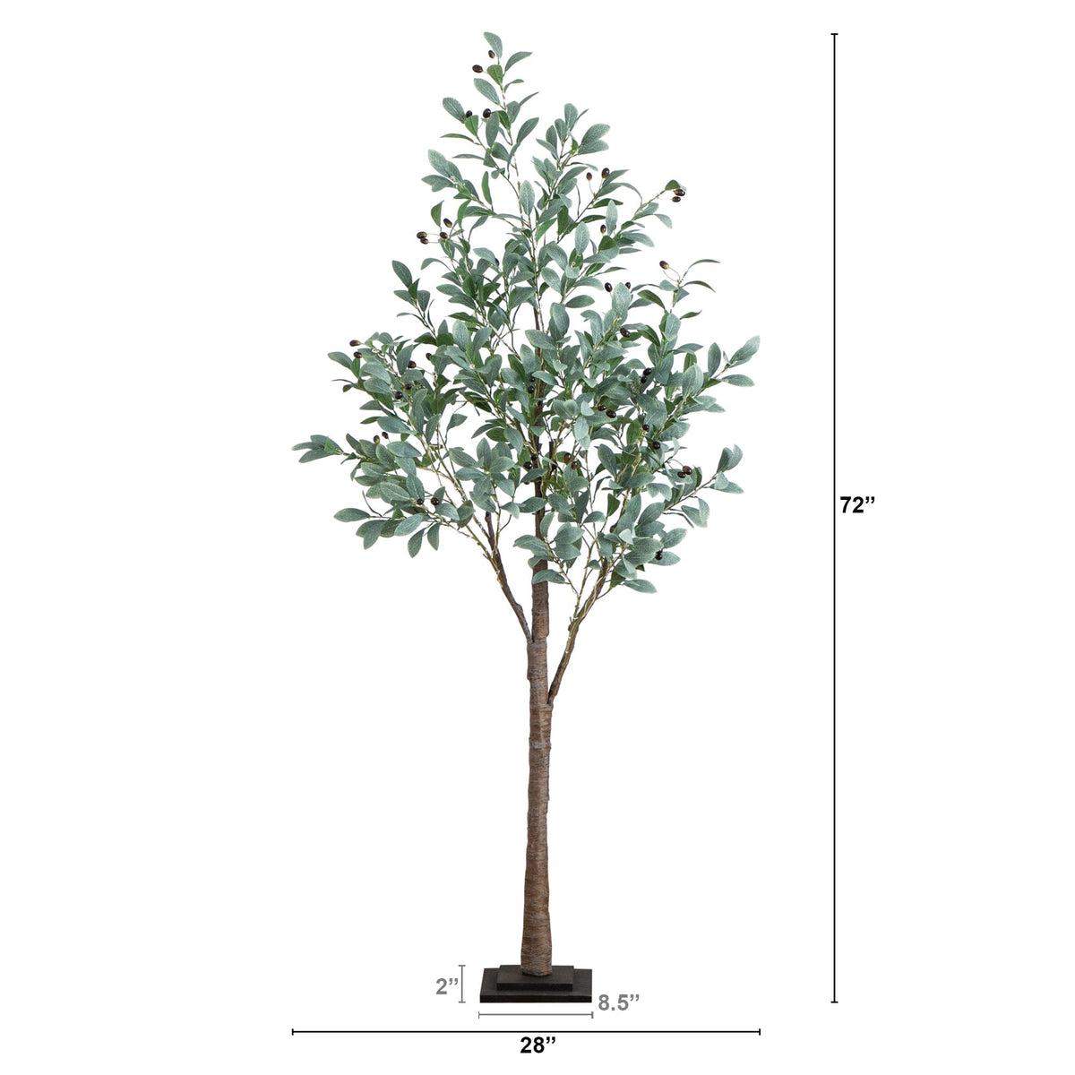 a tall tree with a small amount of leaves