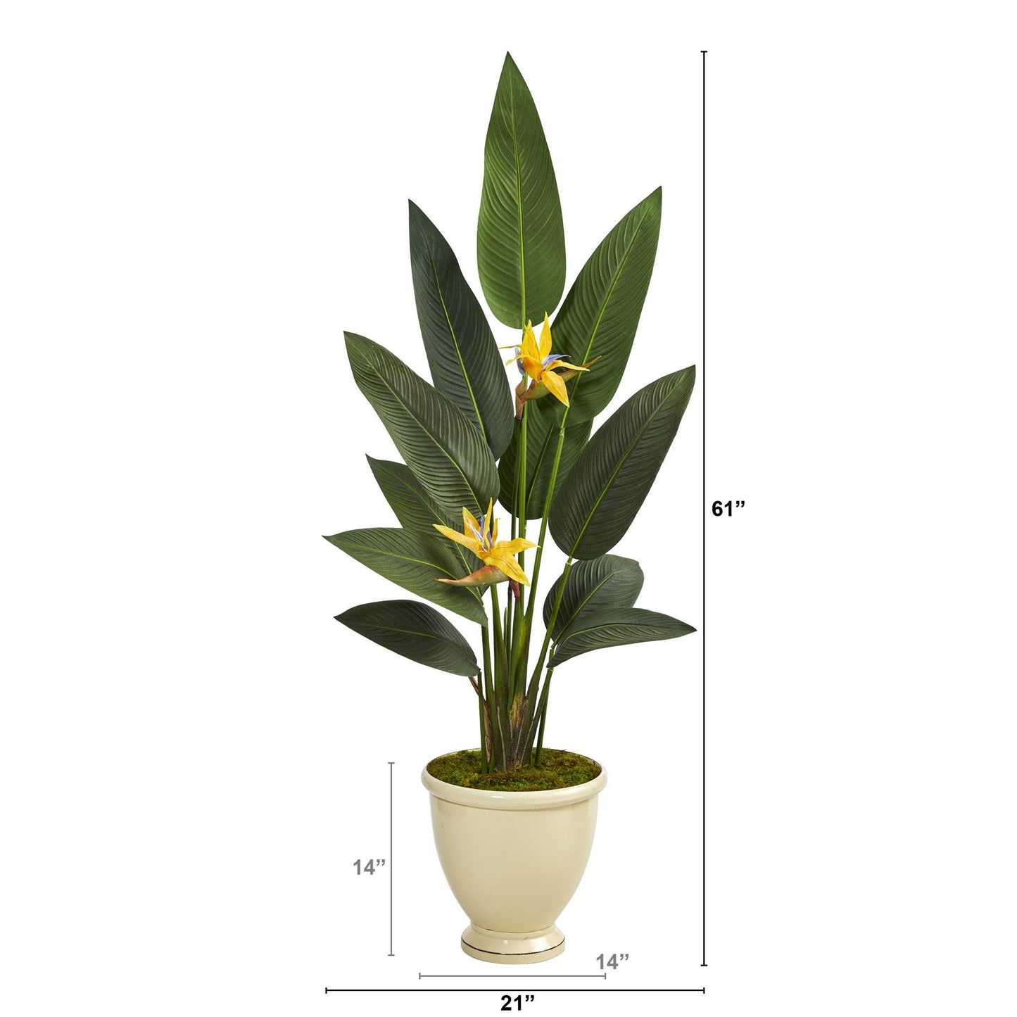 61” Bird of Paradise Artificial Plant in Decorative Urn (Real Touch)