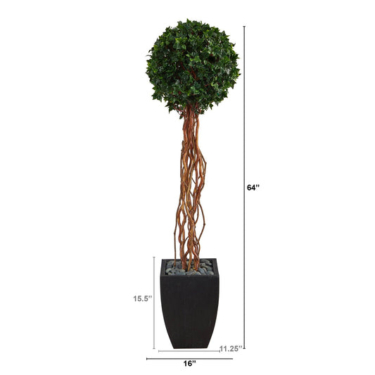 a tall plant in a pot