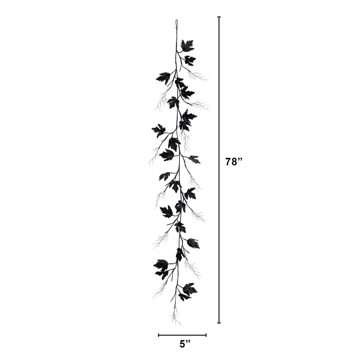 a tall vine with leaves and sizes