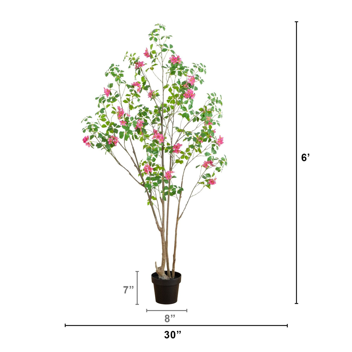 a plant in a pot with a height of 6 inches