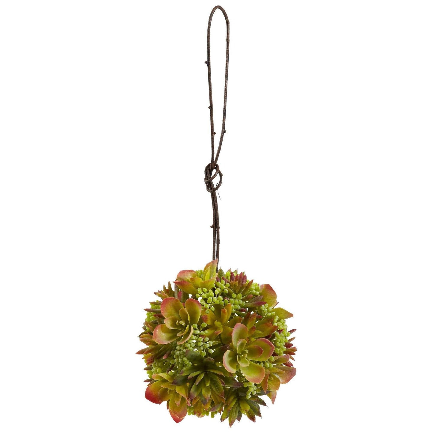 7” & 5” Mixed Succulent Spheres (Set of 2)