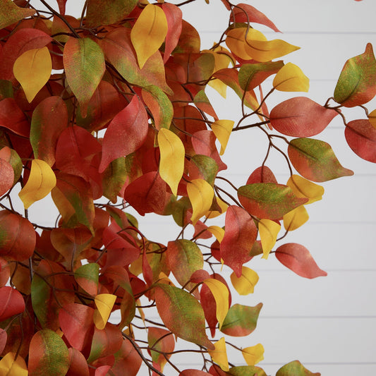 a close up of a tree with colorful leaves