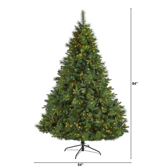 a christmas tree with lights and a height chart