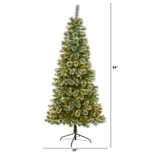 a christmas tree with lights