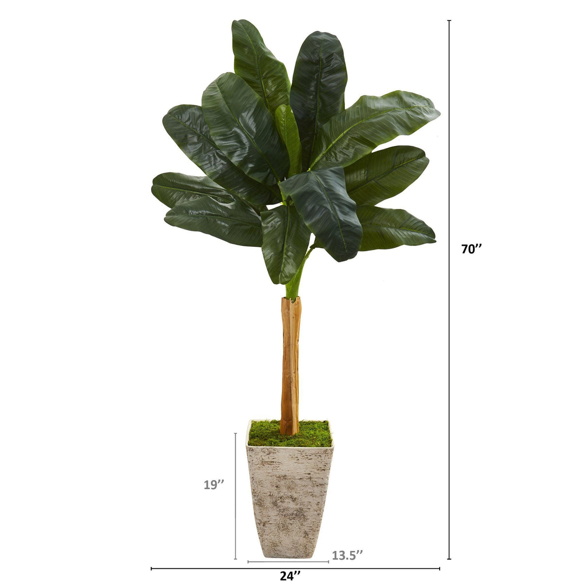 70” Banana Artificial Tree in Country White Planter