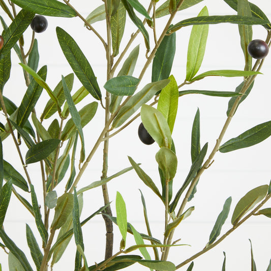a close up of a plant