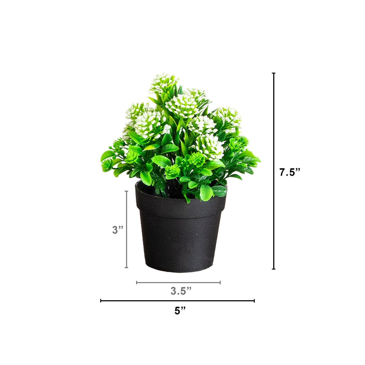 a small potted plant with a small white flower