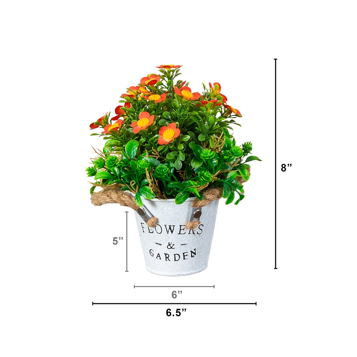 a plant in a pot with size