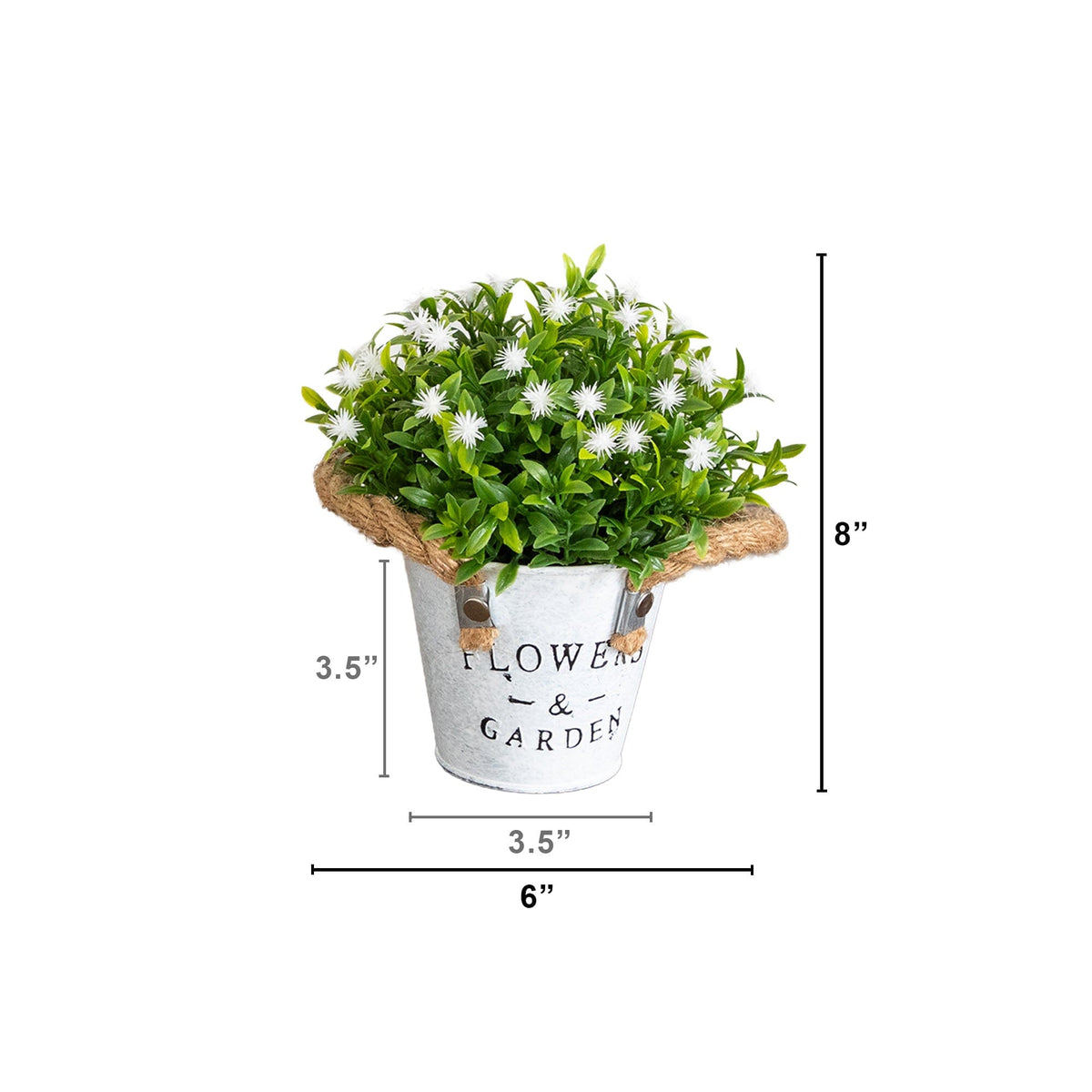 a small potted plant with white flowers