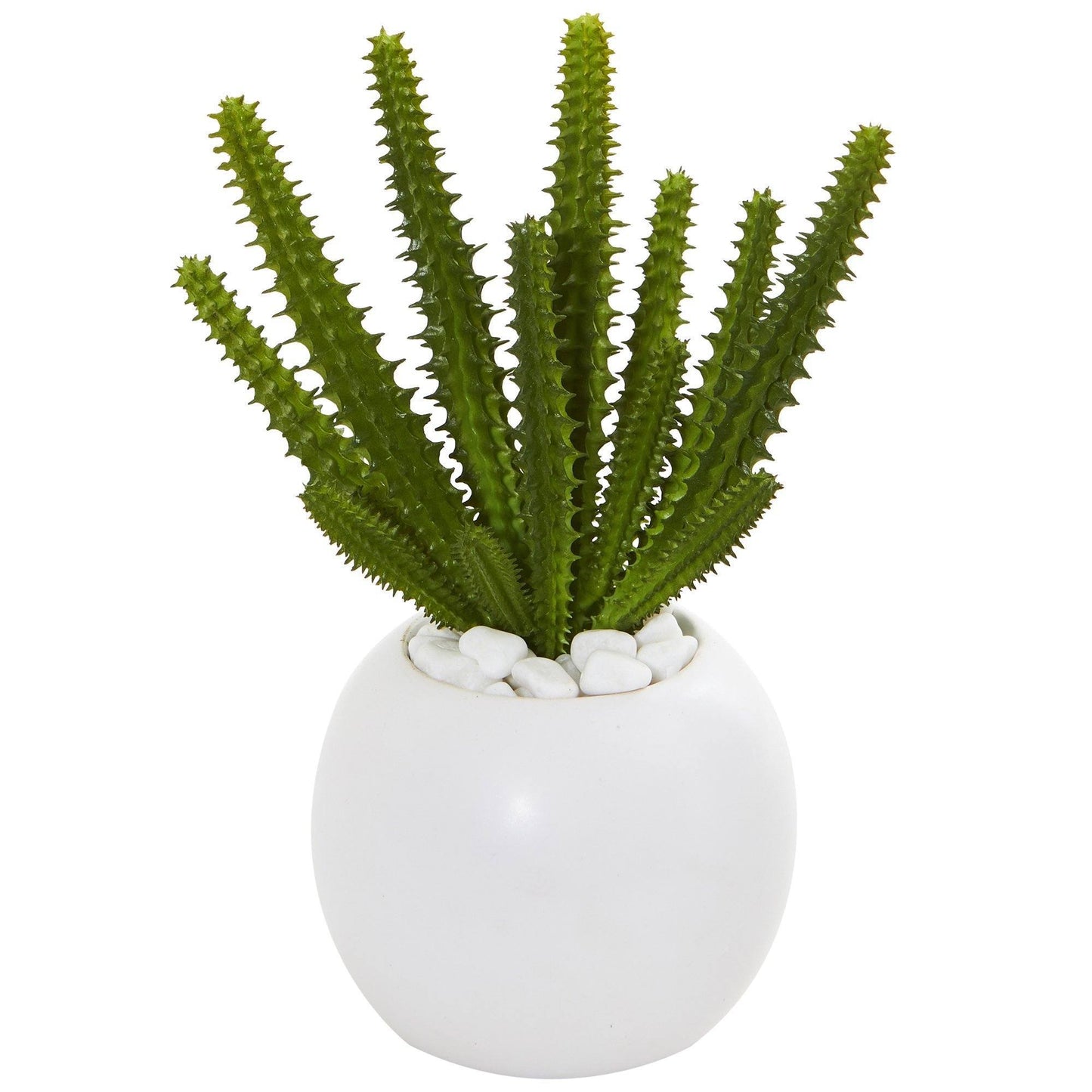 8” Cactus Succulent Artificial Plant in White Planter (Set of 3)