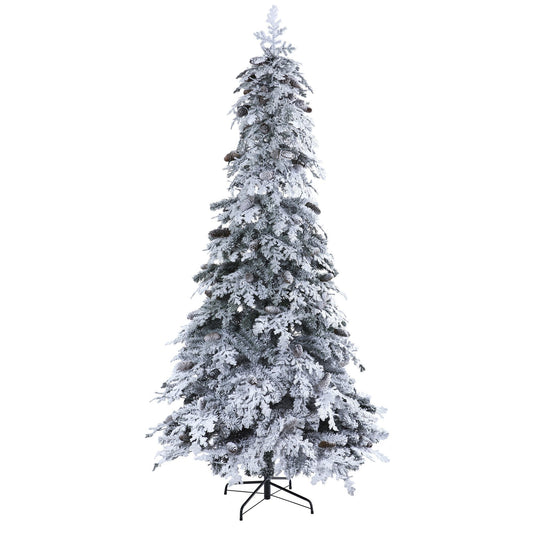 a tree covered in snow