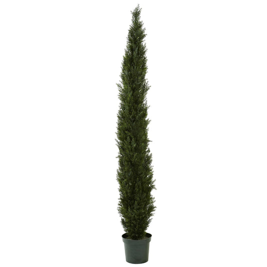 a tall tree in a pot