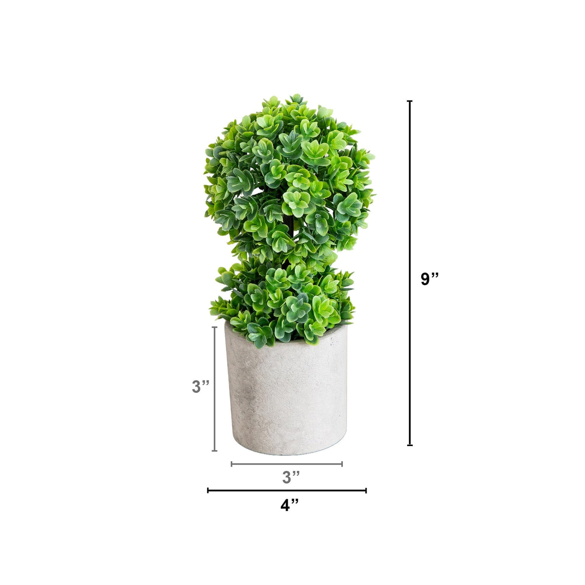a plant in a pot