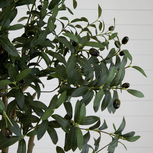 a plant with black berries