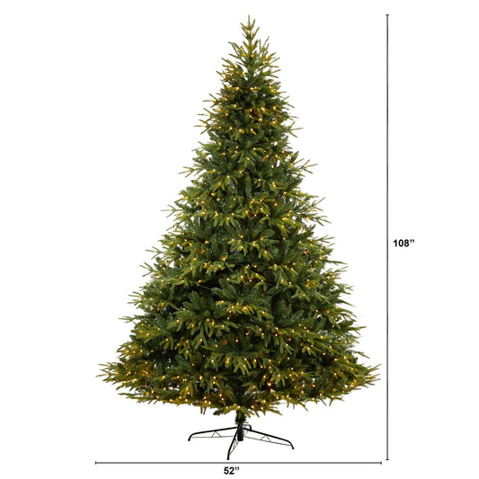 a tall christmas tree with lights