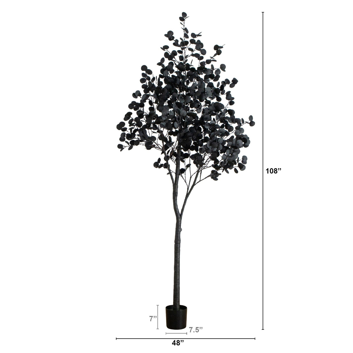 a tall tree with a height of inches