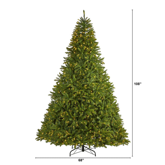 a christmas tree with lights