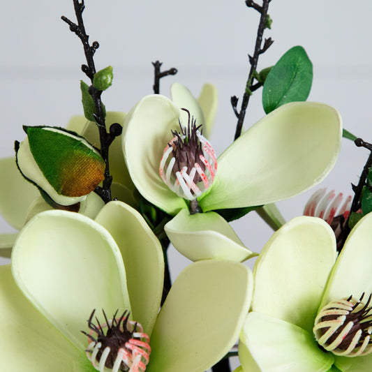 a close up of flowers