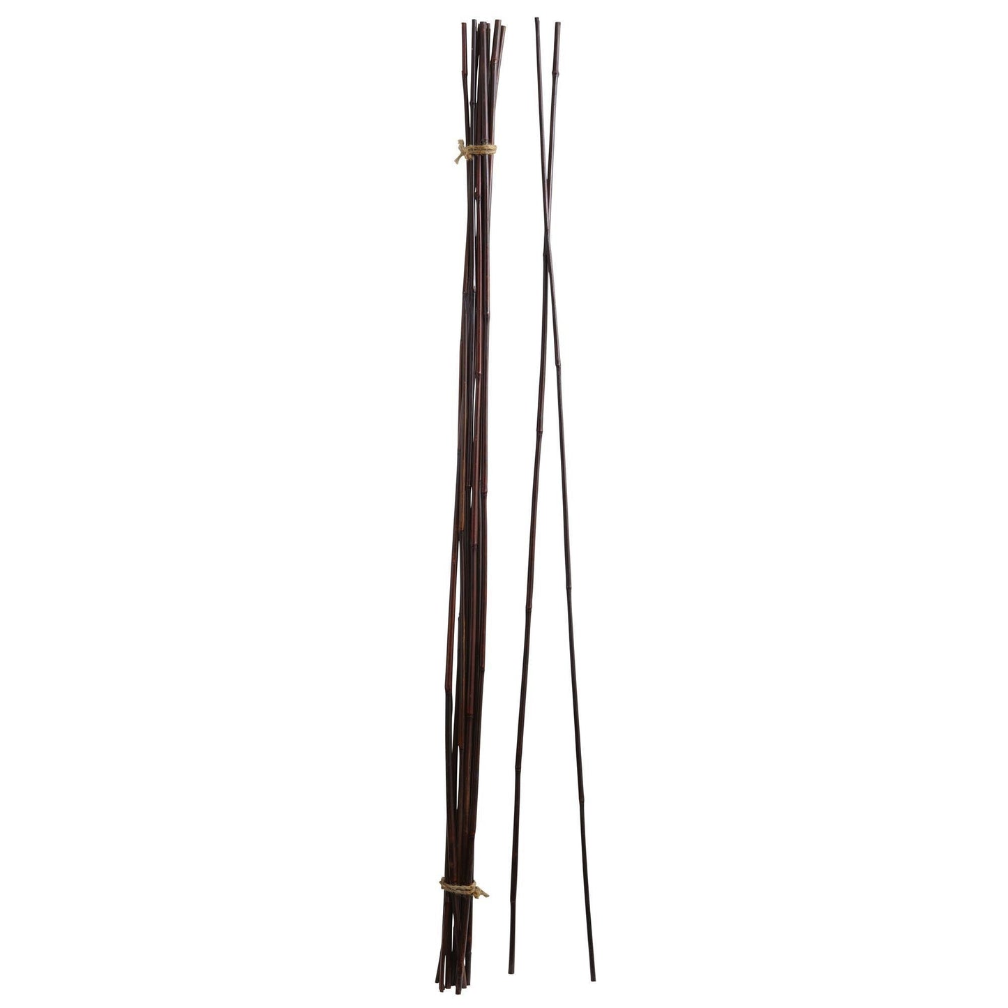 Bamboo Sticks (Set of 36)