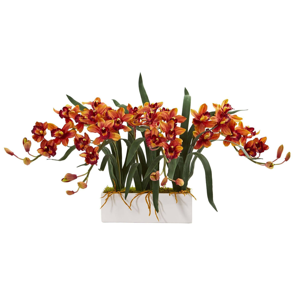 a plant with orange flowers