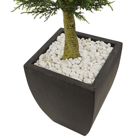 a plant in a pot