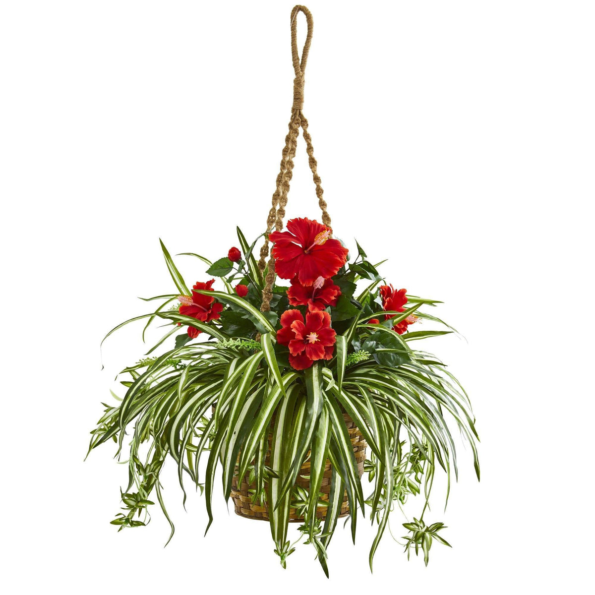 a potted plant with red flowers