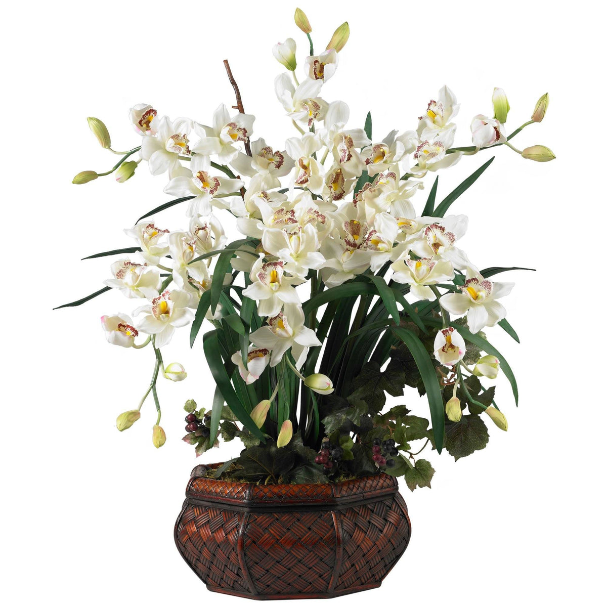 a plant with white flowers