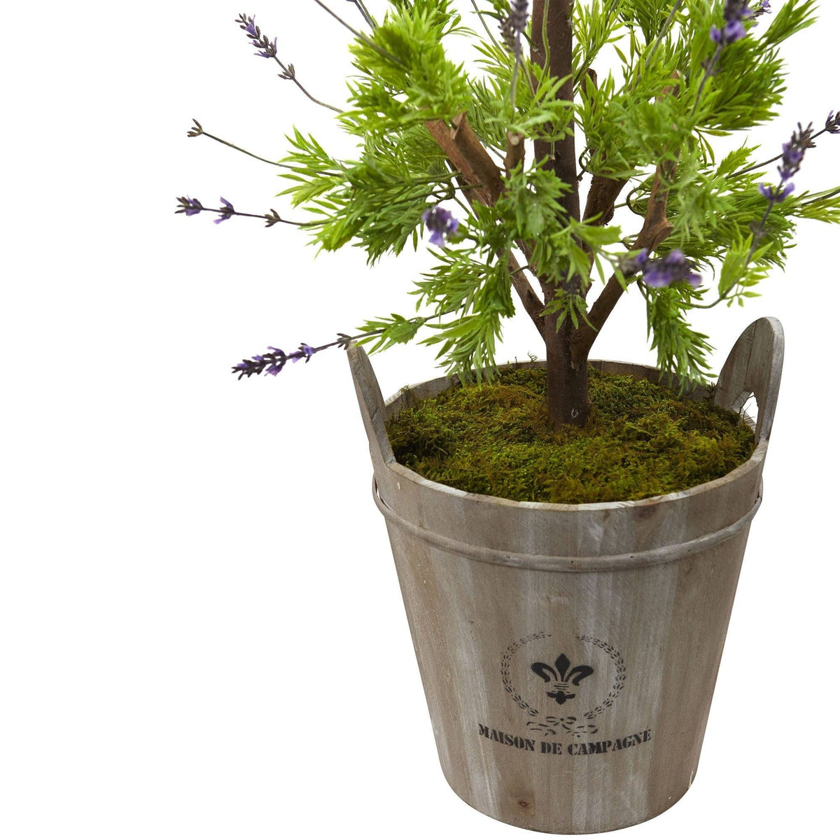 Lavender Topiary with Farmhouse Planter