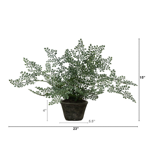 a plant in a pot