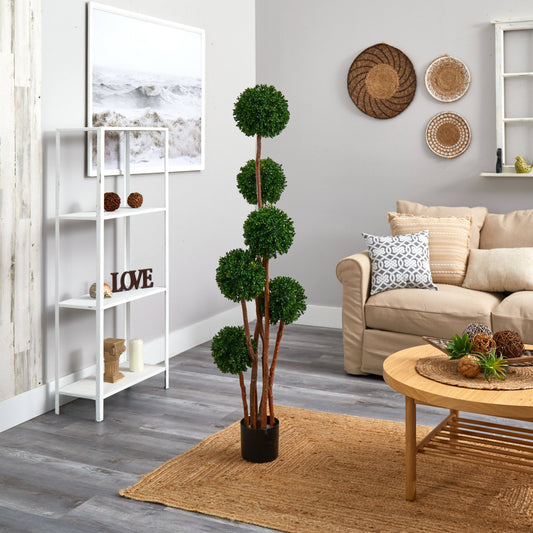a living room with a couch and a plant