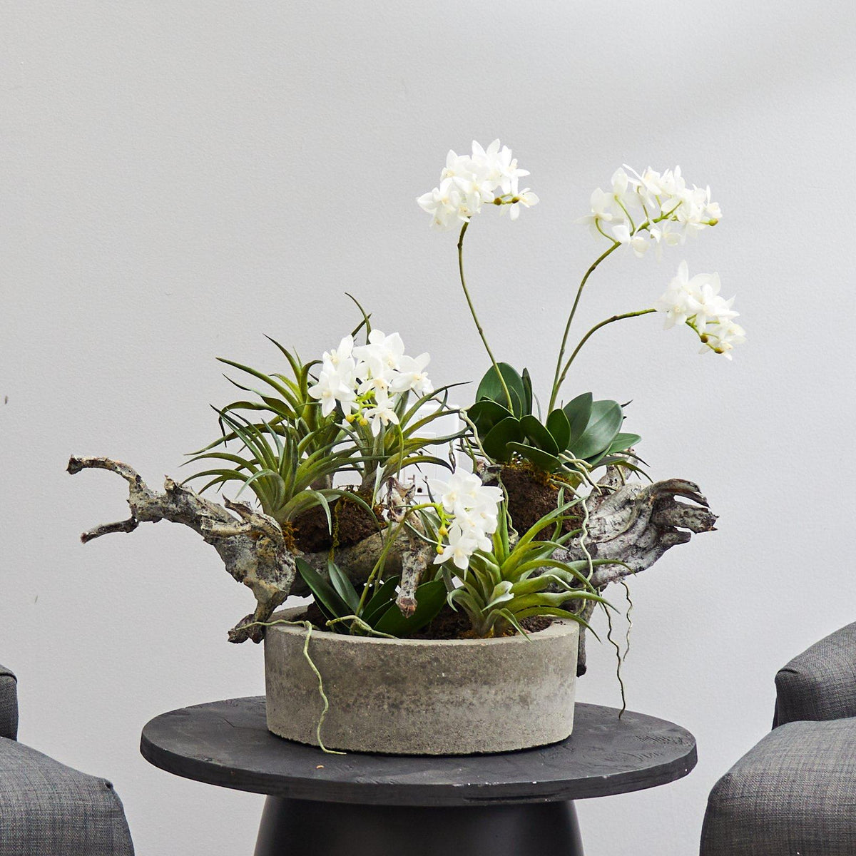 a plant on a table