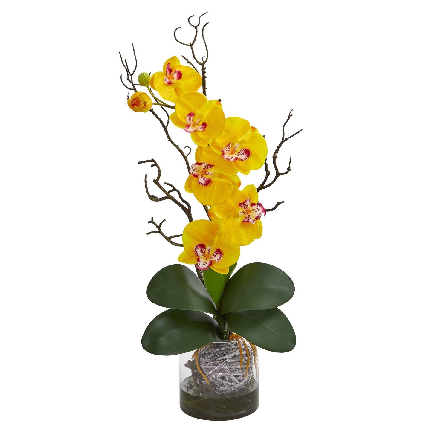 Phalaenopsis Orchid Artificial Arrangement in Vase