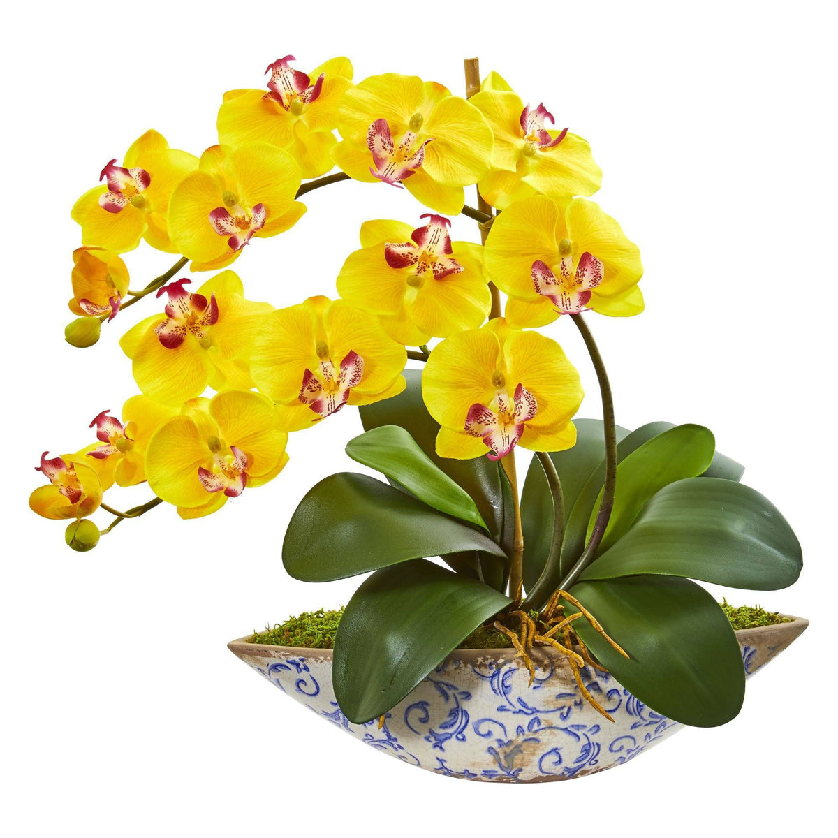 a yellow orchid in a pot