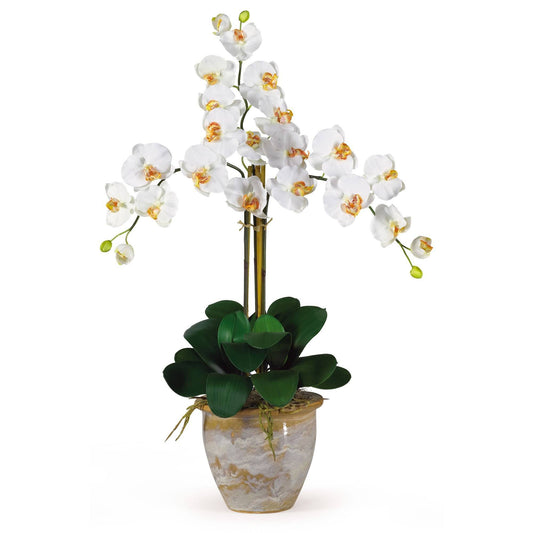 a potted plant with white flowers