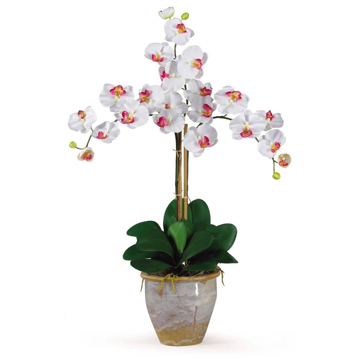 a white flower in a pot