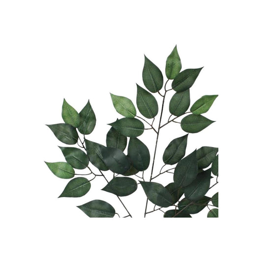 23" Silk Ficus Spray: Green (Set of 12)